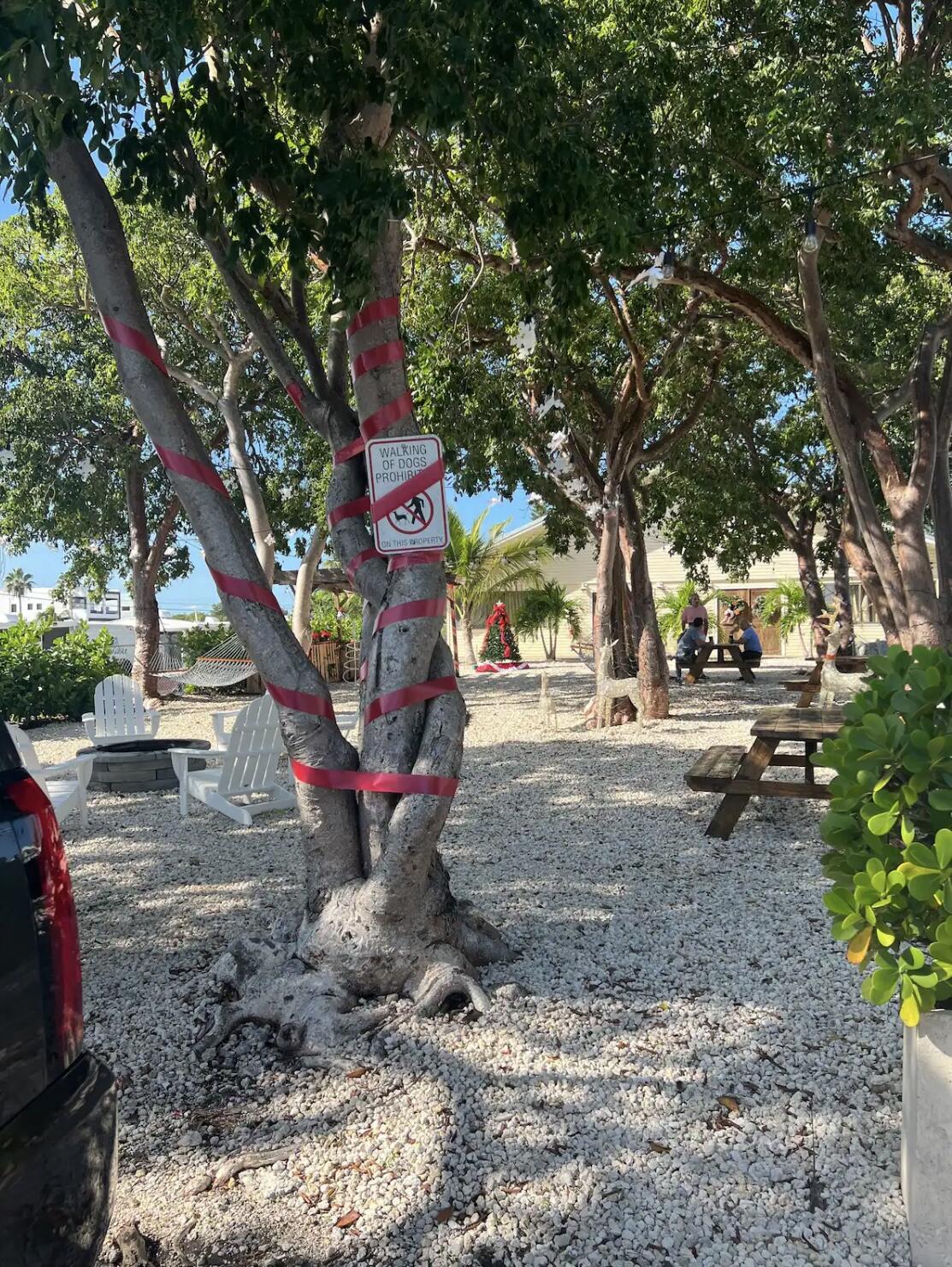 325 Calusa Street, Unit 478 Key Largo, FL 33037 - Photo 26 of 38 IMG_0668