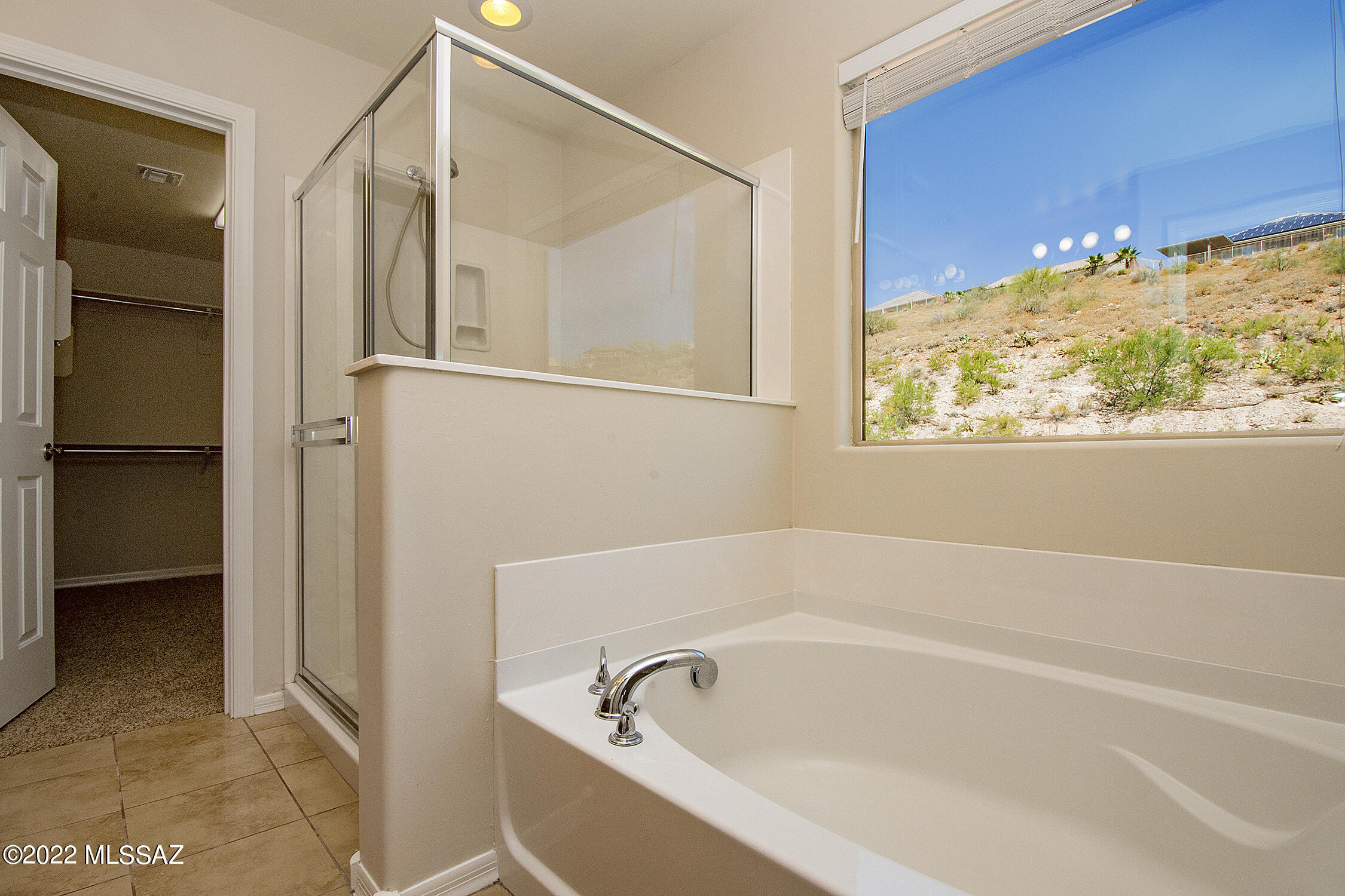 39081 South Running Roses Lane Tucson, AZ 85739 - Photo 32 of 43