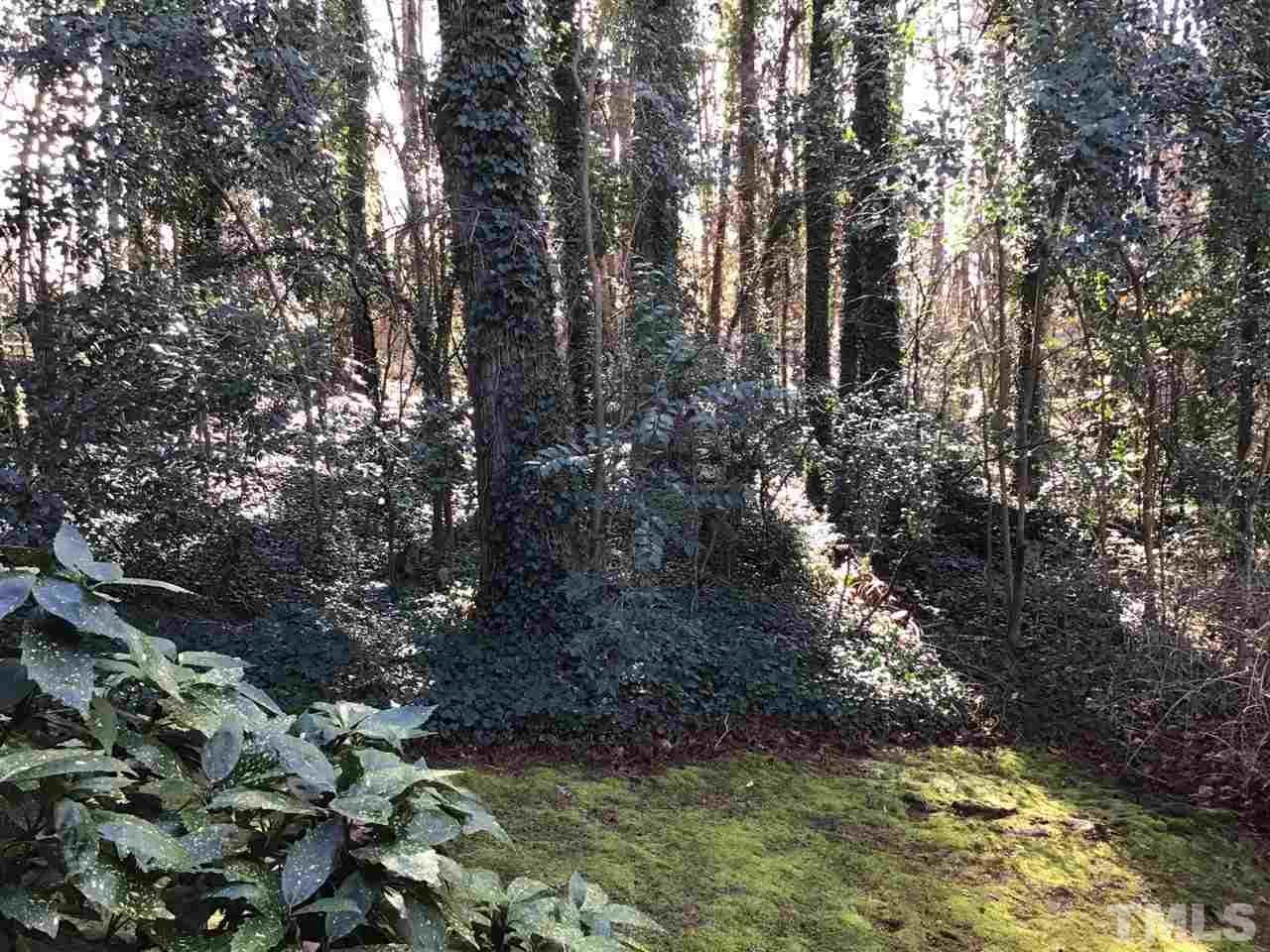 3701 Pembrook Place Raleigh, NC 27612 - Photo 27 of 30 a view of a forest with large trees