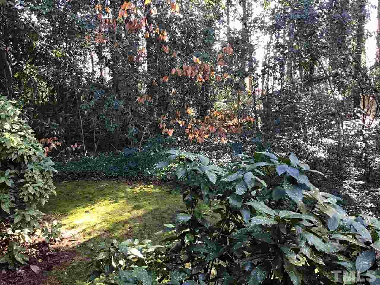 3701 Pembrook Place Raleigh, NC 27612 - Photo 30 of 30 a view of a tree in a yard