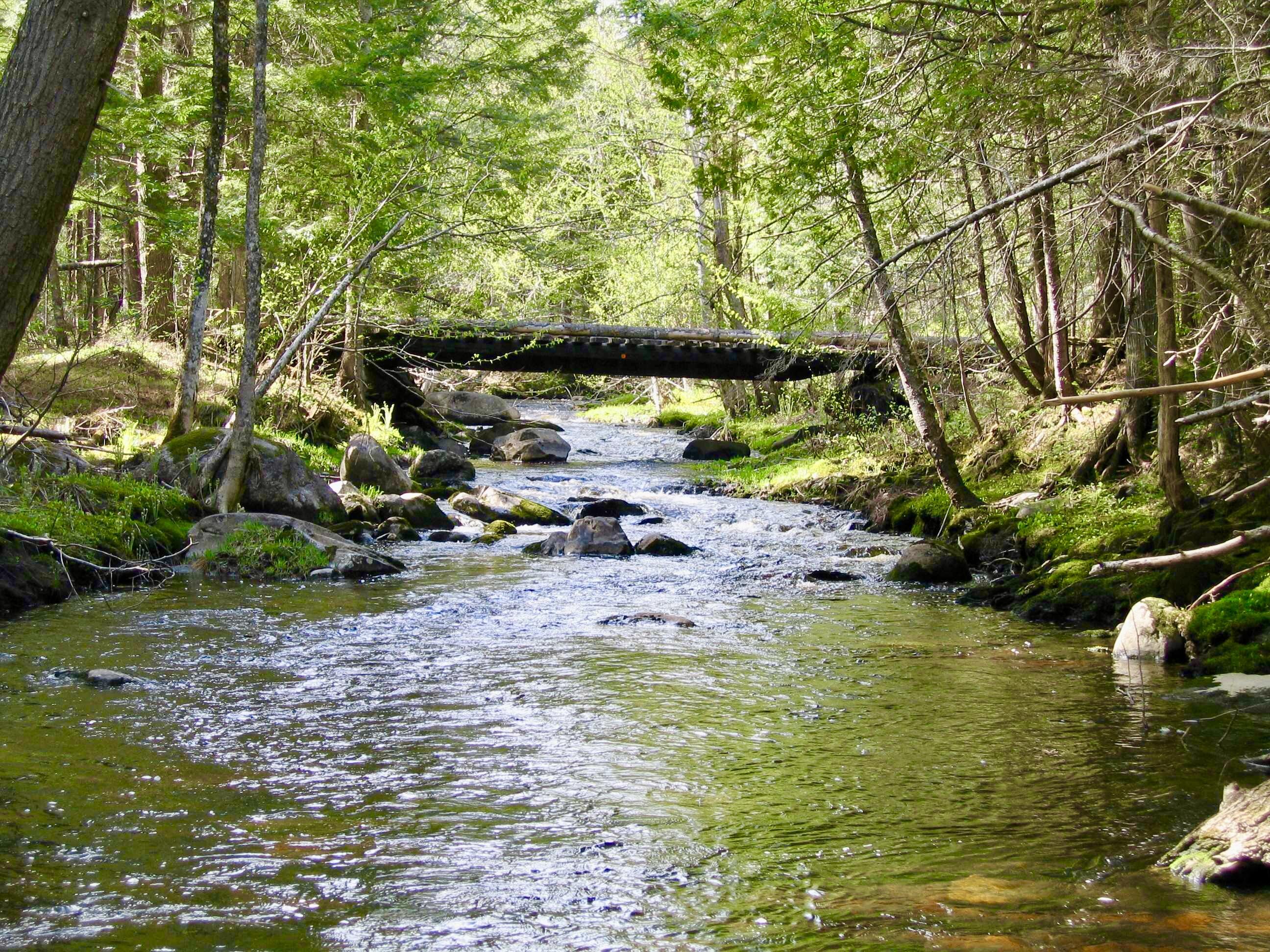 Whetstone Stream Bridge up close