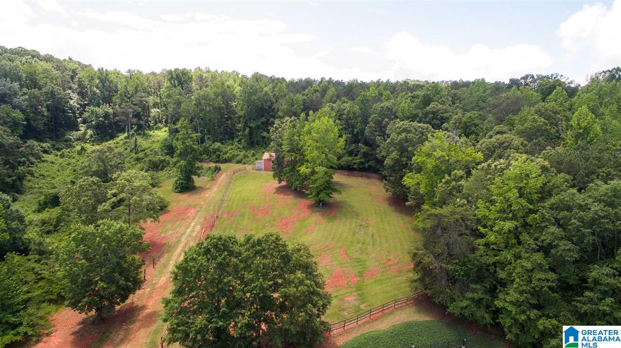 301 Old Springs Lane Springville, AL 35146 - Photo 26 of 29