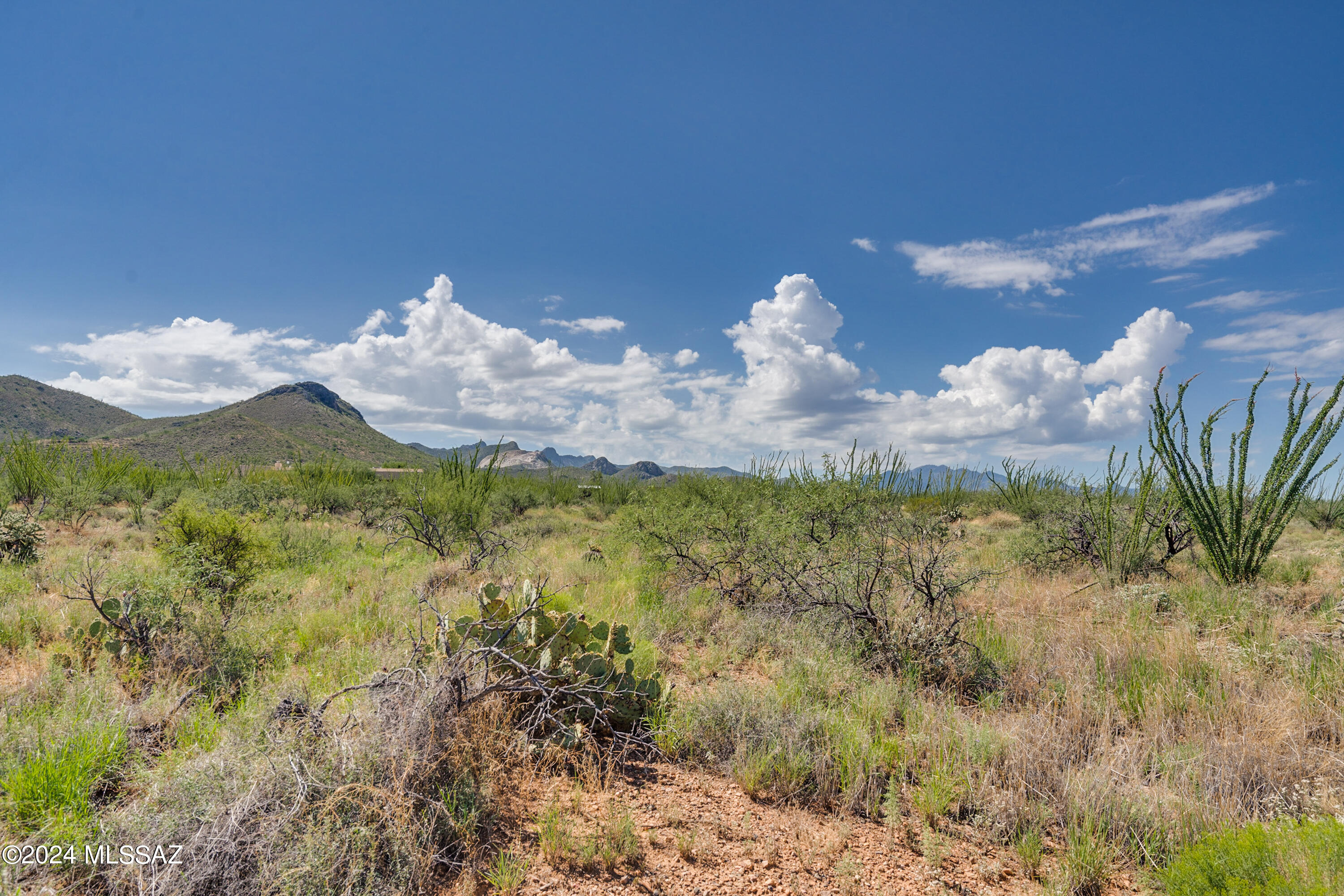 9789 East Ocotillo Rim Trail Vail, AZ 85641 - Photo 23 of 29 Ocotillo Rim Trl-5