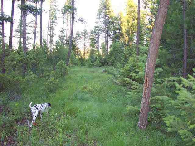 0 Insert Elk, WA 99009 - Photo 1 of 5 Gallery Image 1