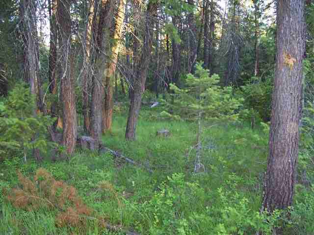 0 Insert Elk, WA 99009 - Photo 2 of 5 Gallery Image 2
