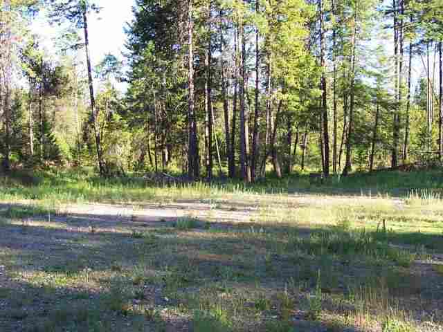 0 Insert Elk, WA 99009 - Photo 4 of 5 Gallery Image 4