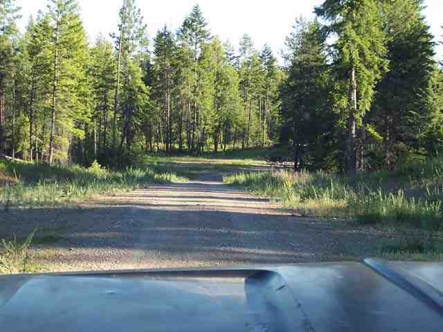 0 Insert Elk, WA 99009 - Photo 5 of 5 Gallery Image 5