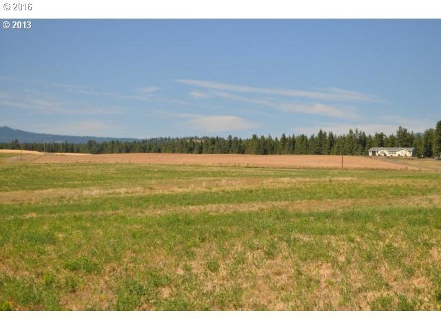 892 Counts Road Goldendale, WA 98620 - Photo 2 of 2 Gallery Image 2