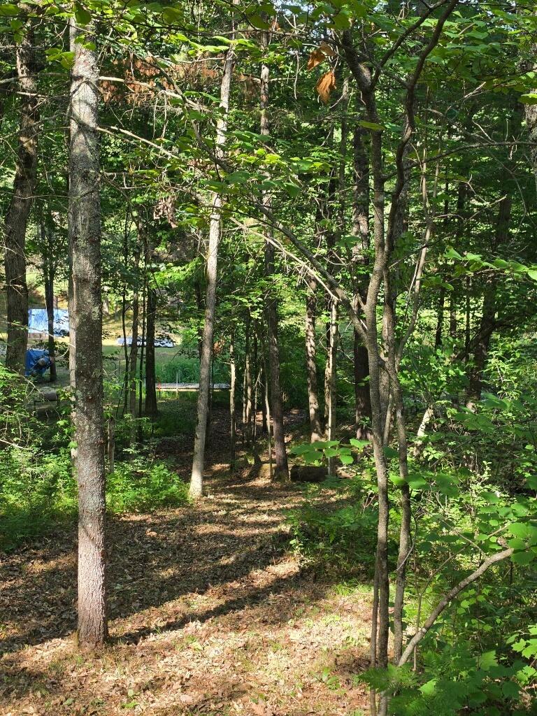 0 West Wilmas Way Baldwin, MI 49304 - Photo 7 of 7 deBlecourt5