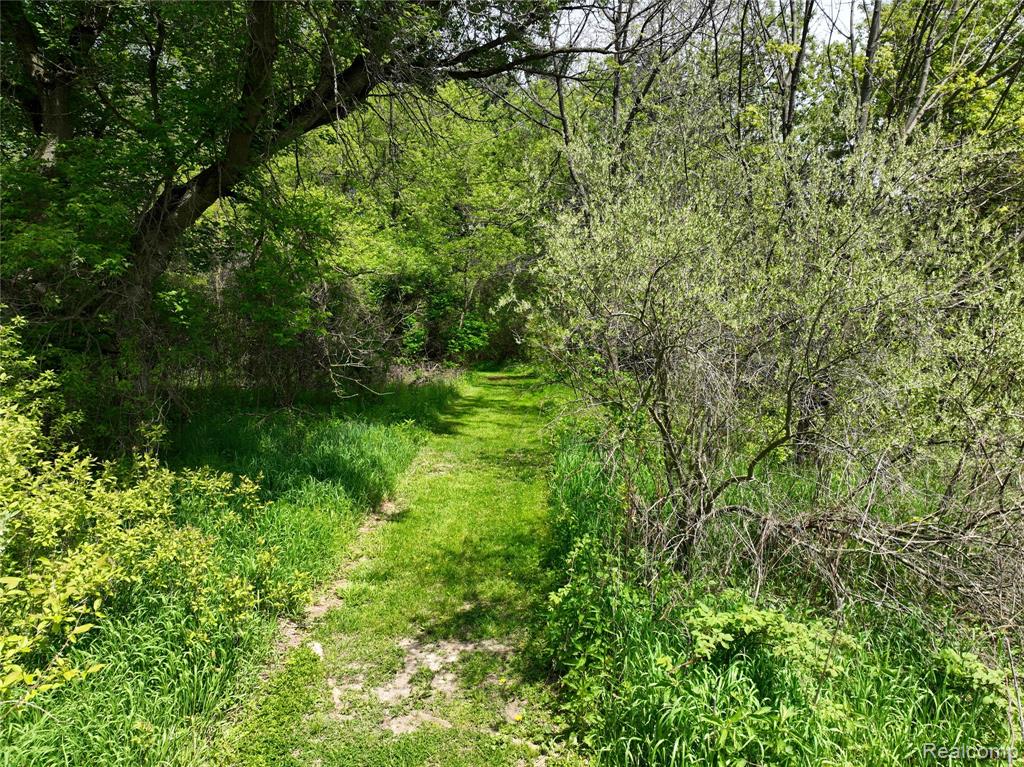 0 Gray Road Lapeer, MI 48446 - Photo 4 of 9