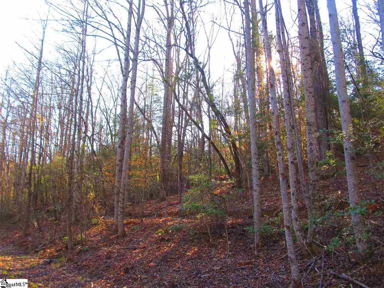 Mccarrell Road Travelers Rest, SC 29690 - Photo 5 of 14 Gallery Image 5