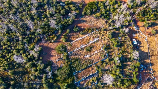 a view of yard with flowers and trees
