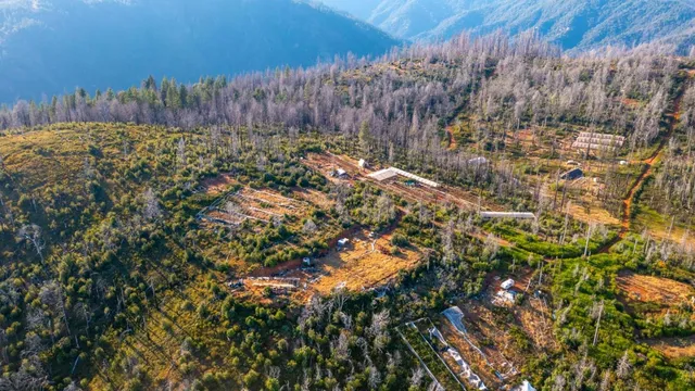 a view of a bird bath