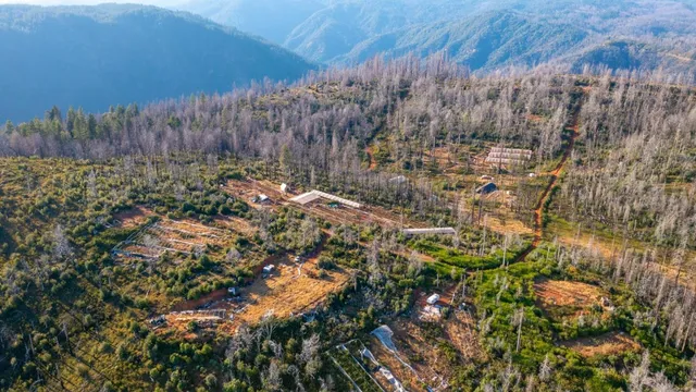 an aerial view of residential house with outdoor space and trees all around