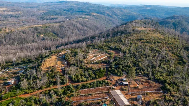 a picture of a city view