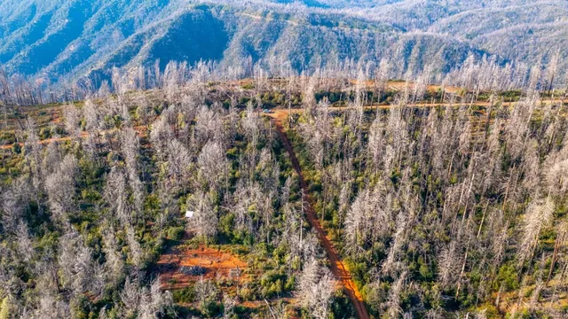 $70,000 | 175 Bonnie Meadow Lane, Berry Creek, CA 95916