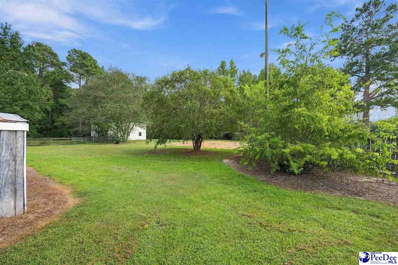 4173 Bluff Road Marion, SC 29571 - Photo 42 of 71 Gallery Image 42