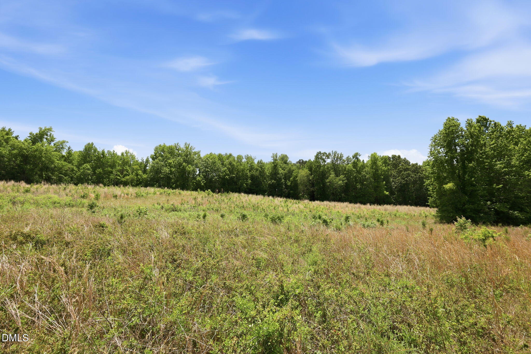 0 Pope Road Creedmoor, NC 27522 - Photo 17 of 19