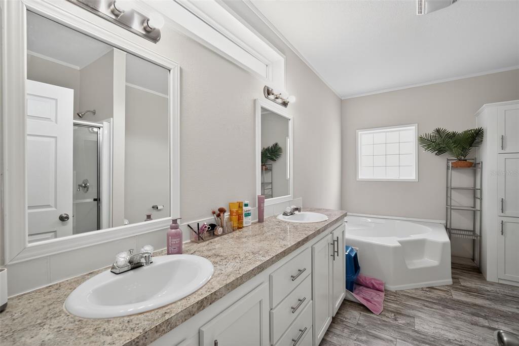 12706 McIntosh Road Plant City, FL 33565 - Photo 16 of 30 a bathroom with a tub double sink and mirror