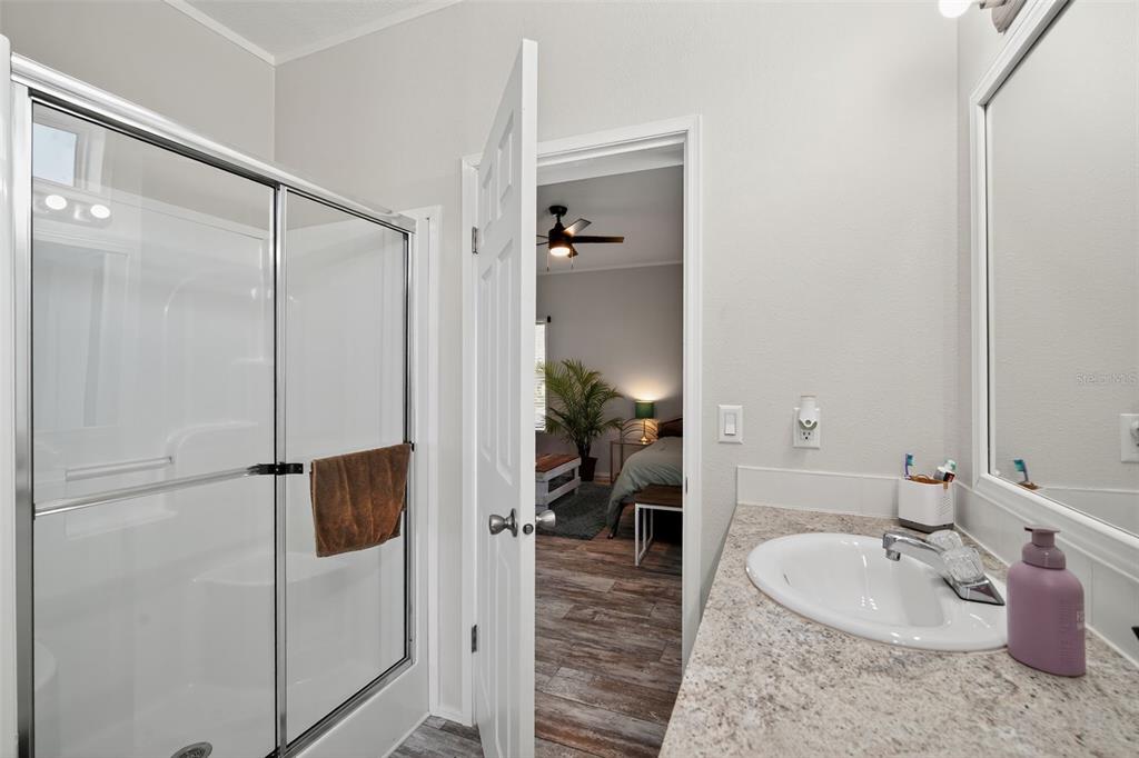 12706 McIntosh Road Plant City, FL 33565 - Photo 17 of 30 a bathroom with a granite countertop sink a mirror and shower
