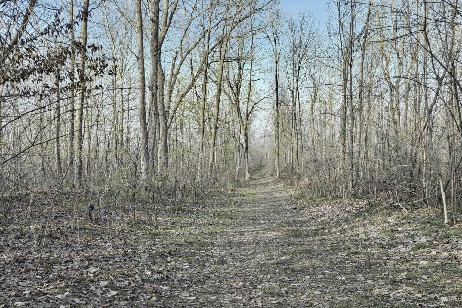 Lot 4 1/2 Barron, WI 54812 - Photo 3 of 10
