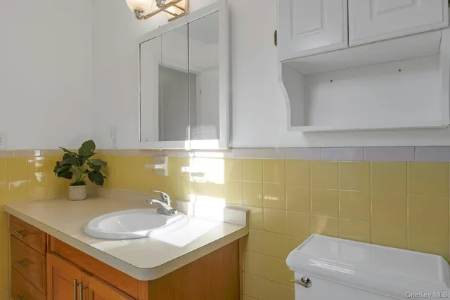 a bathroom with a sink and a toilet