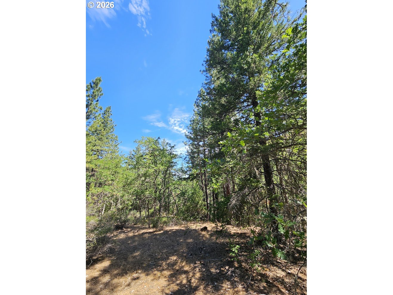 Lovers Lane Lyle, WA 98635 - Photo 20 of 25