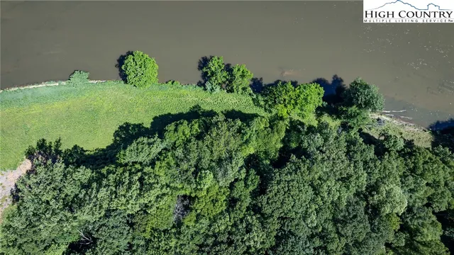 a plant that is in a garden