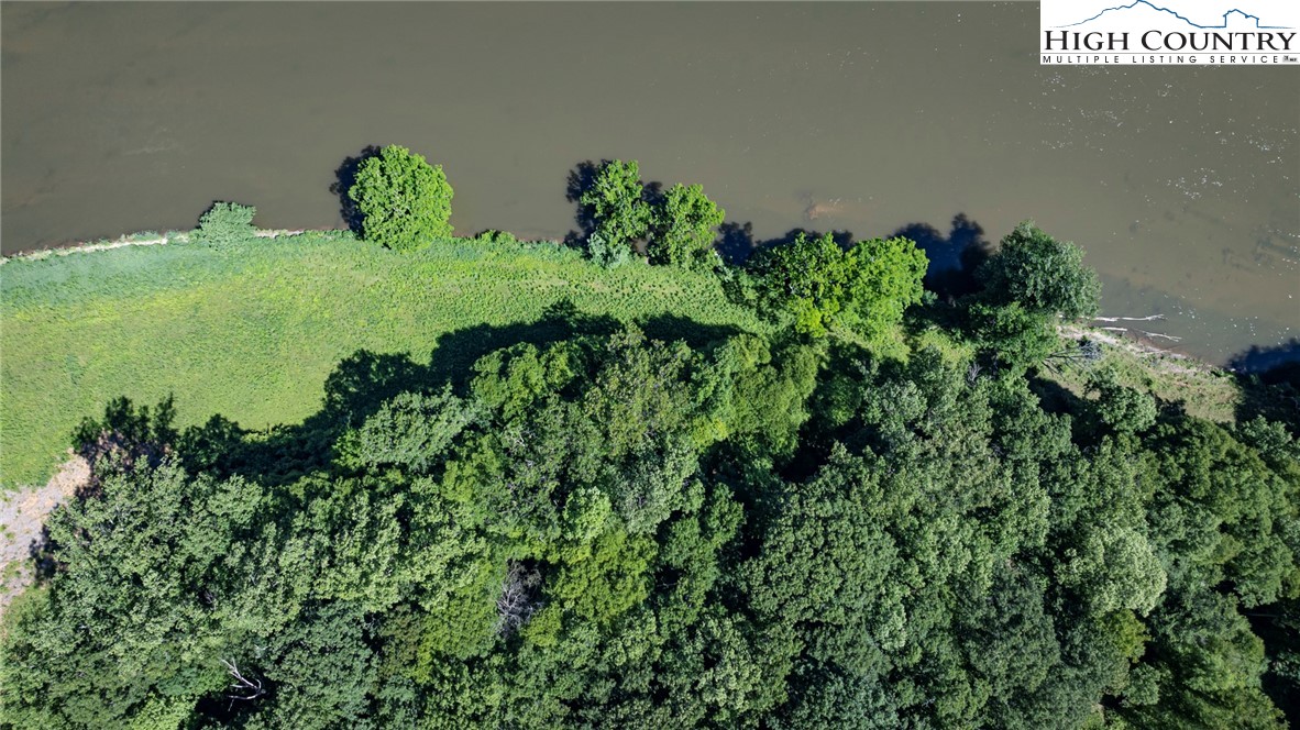 24 Moxley Ridge Road Independence, VA 24348 - Photo 18 of 20 a plant that is in a garden