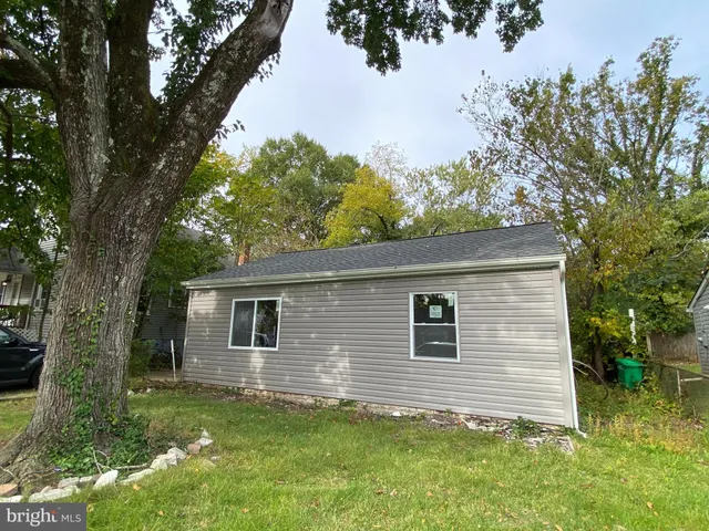 a view of a backyard with plants and large tree