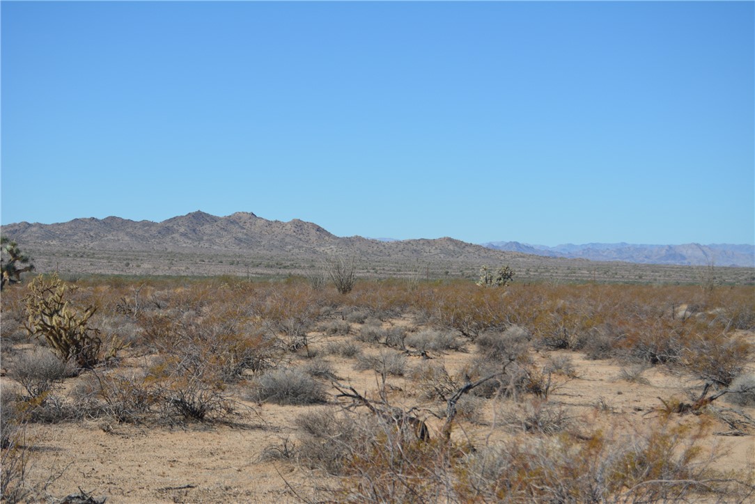 207-35-005 South Arlington Road Yucca, AZ 86438 - Photo 3 of 92