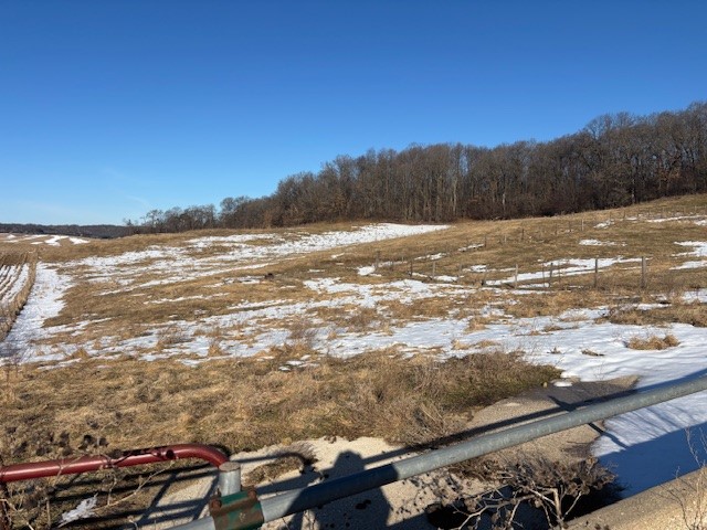 N41286 Halama Road Strum, WI 54770 - Photo 22 of 60