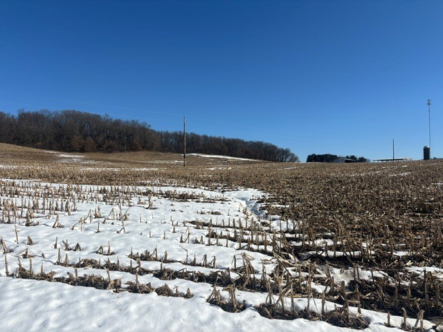 N41286 Halama Road Strum, WI 54770 - Photo 56 of 60