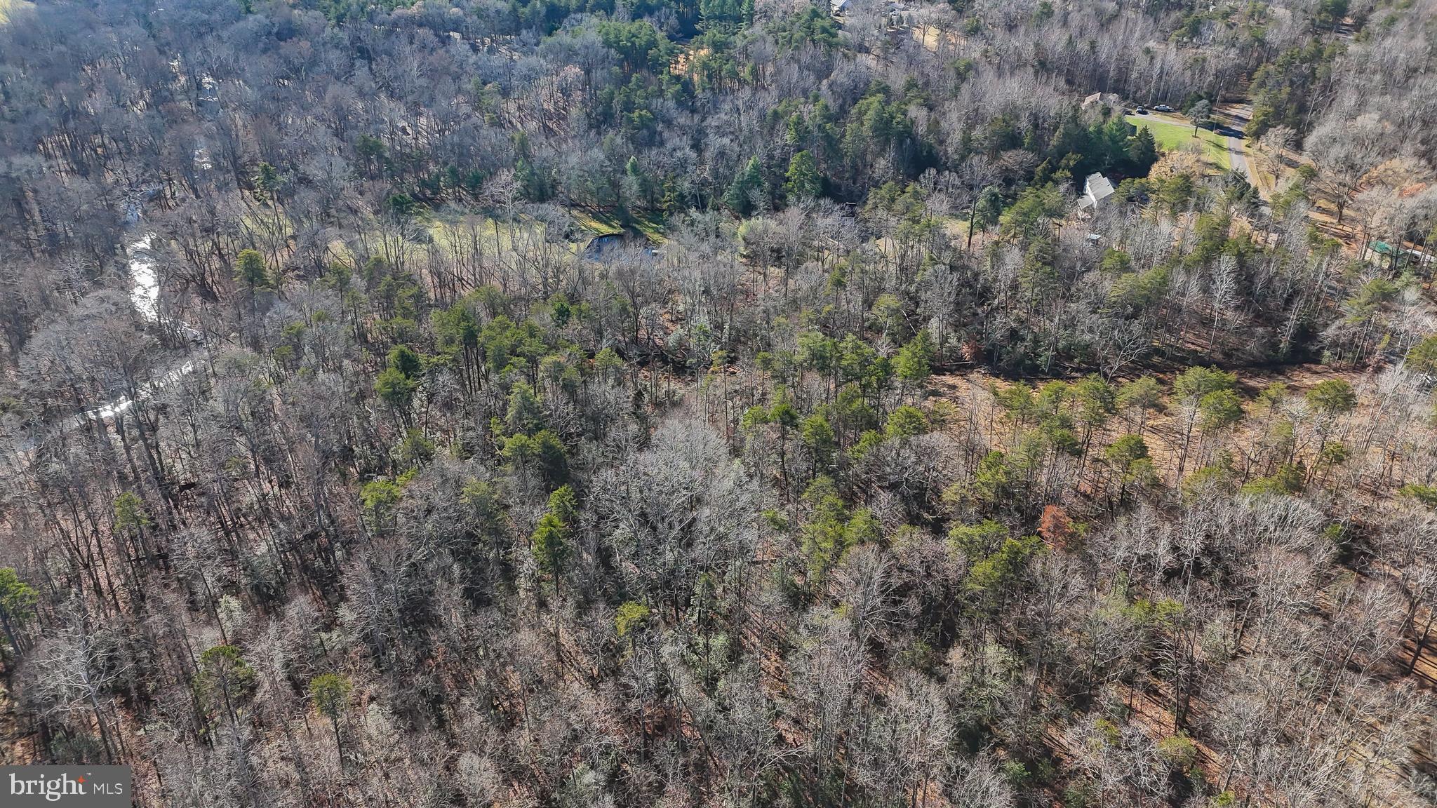 Lot 45 Vermont Road Rhoadesville, VA 22542 - Photo 12 of 12 Gallery Image 12