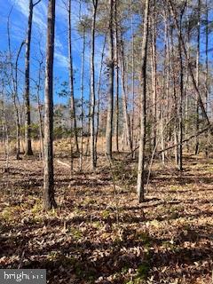 Lot 45 Vermont Road Rhoadesville, VA 22542 - Photo 2 of 12 Gallery Image 2