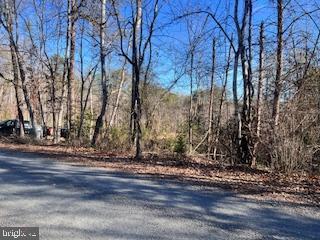 Lot 45 Vermont Road Rhoadesville, VA 22542 - Photo 3 of 12 Gallery Image 3