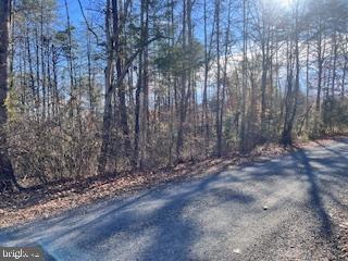 Lot 45 Vermont Road Rhoadesville, VA 22542 - Photo 4 of 12 Gallery Image 4