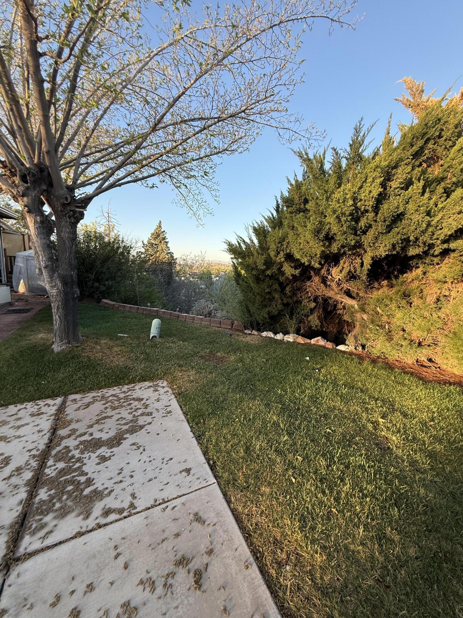 Undisclosed Address St. George, UT 84790 - Photo 3 of 6 Rear of lot. Facing southwest