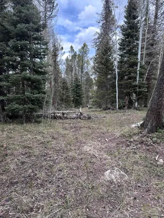 a view of outdoor space with trees
