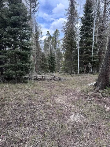 a view of outdoor space with trees