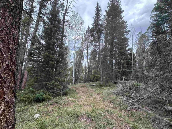 a view of outdoor space and trees