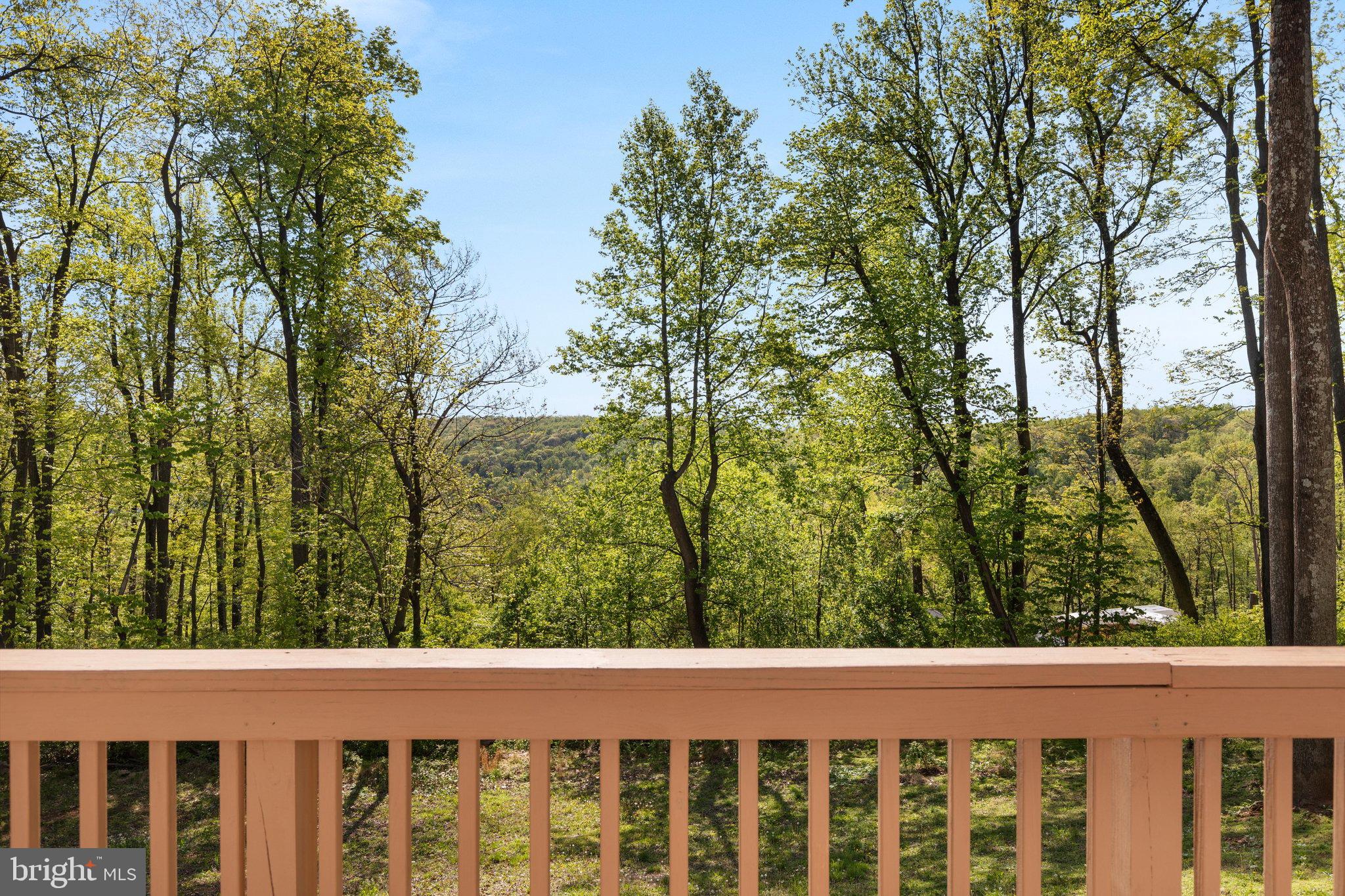 2668 High Top Road Linden, VA 22642 - Photo 50 of 73 2E6A9907_2668 High Top Rd - Absolute Altitude - 5