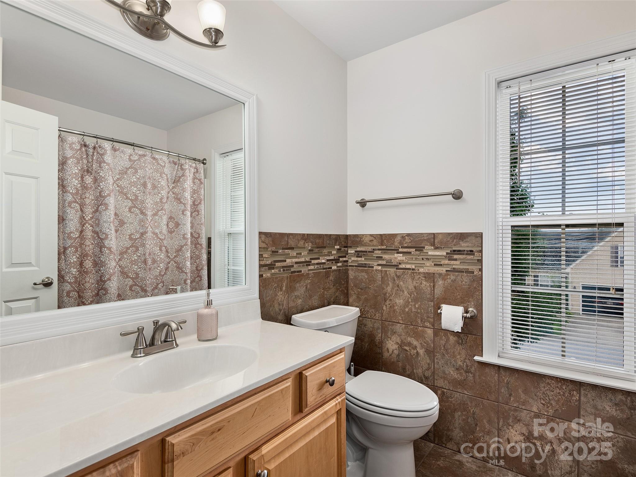 178 Black River Road Fletcher, NC 28732 - Photo 15 of 19 a bathroom with a sink a toilet and a mirror