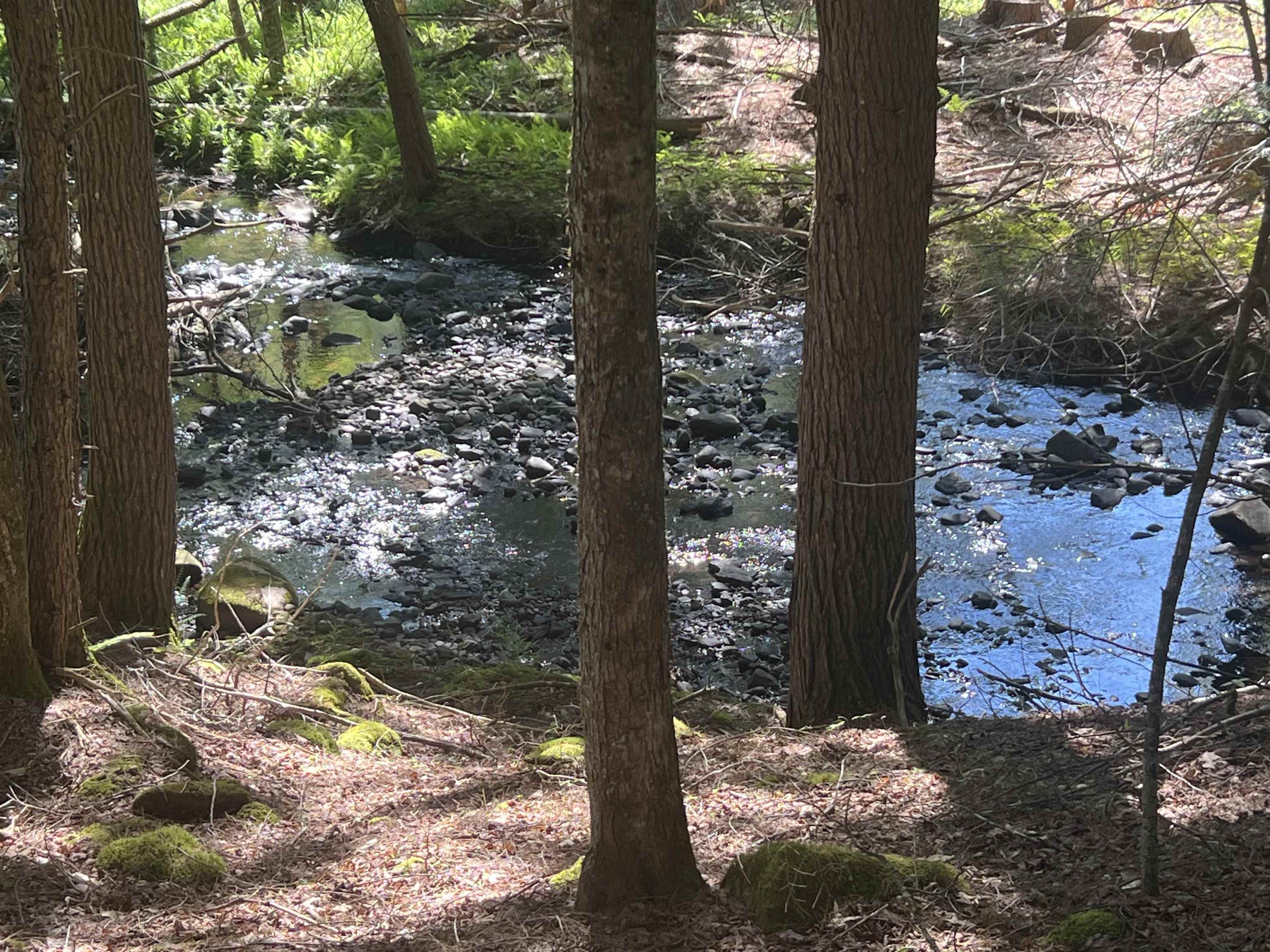 Lower Ridge Road Loudon, NH 03307 - Photo 3 of 14 Gallery Image 3