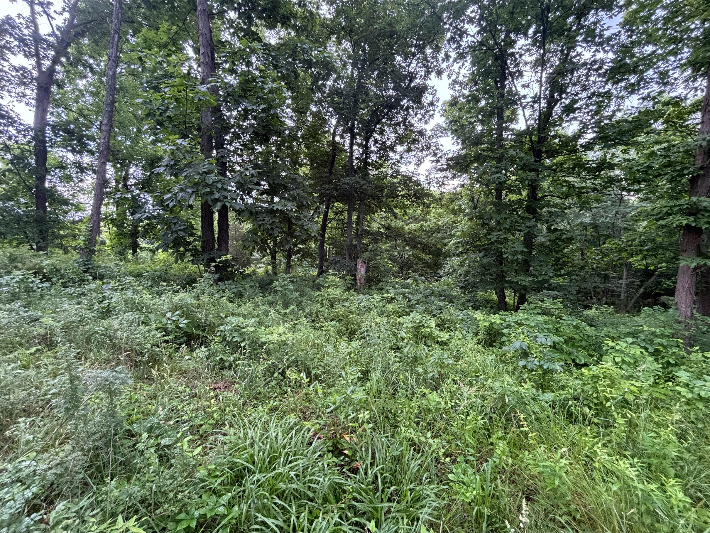 12355 Pleasant Ridge Road Alexandria, KY 41001 - Photo 15 of 27 processed-D21CEFBF-3334-4EF4-805E-2ABA0F