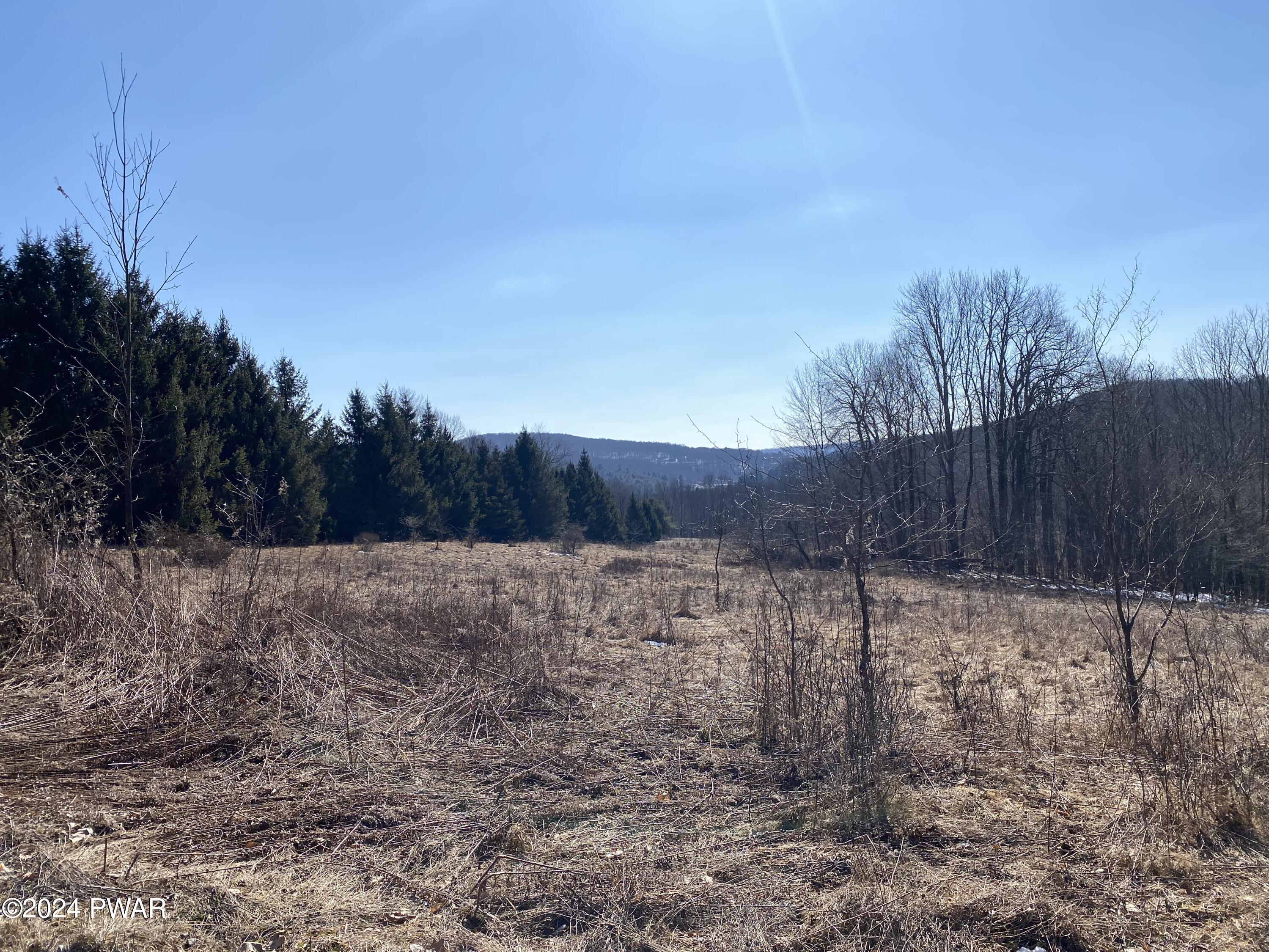 Whitleigh Road Equinunk, PA 18417 - Photo 6 of 10 Property View