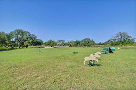 149 Alpine Street Georgetown, TX 78628 - Photo 23 of 24