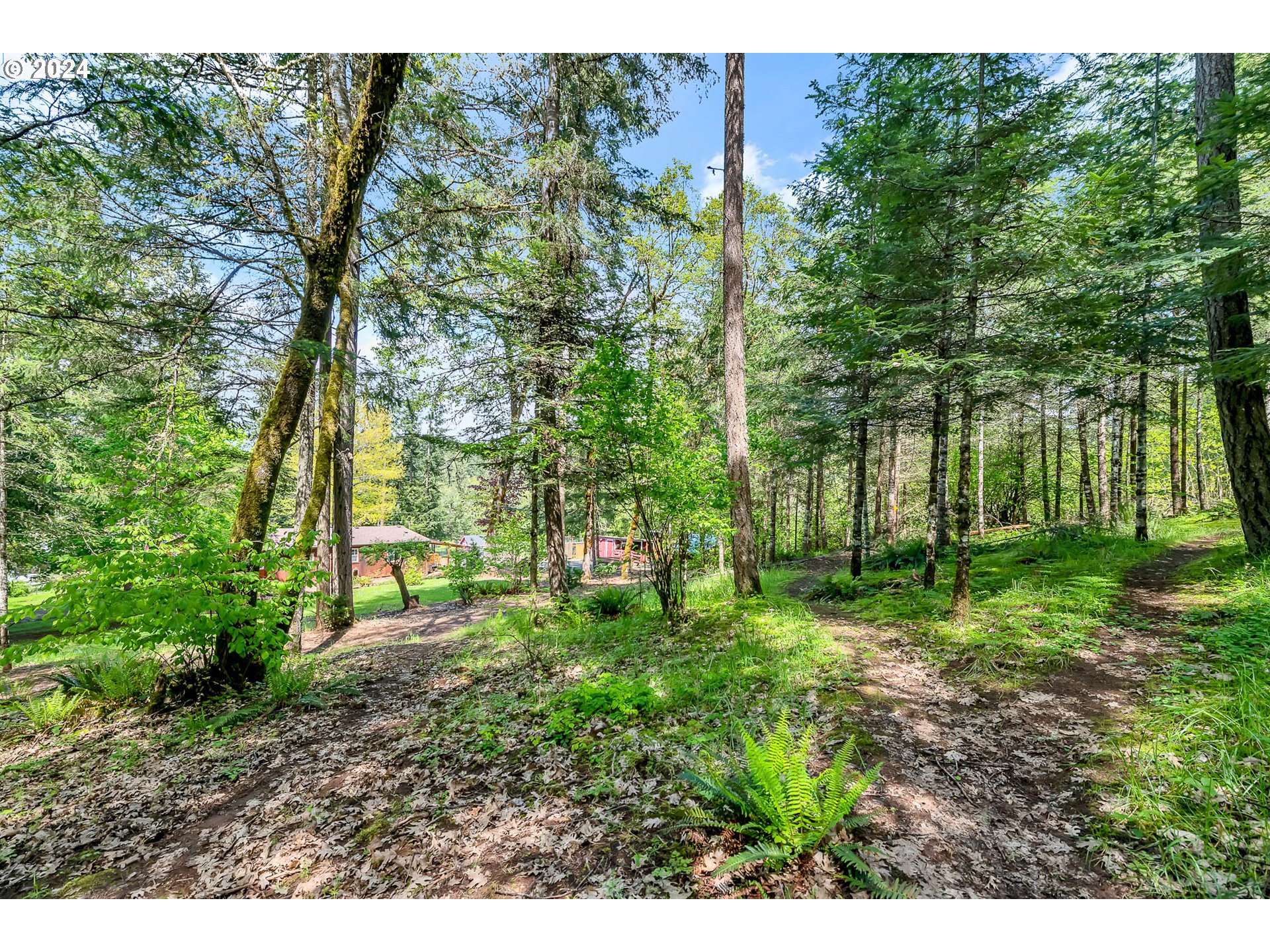 29510 Simmons Road Eugene, OR 97405 - Photo 47 of 47 Gallery Image 47
