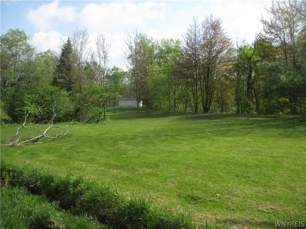 11540 Bolton Road Yorkshire, NY 14141 - Photo 16 of 16 view from road
