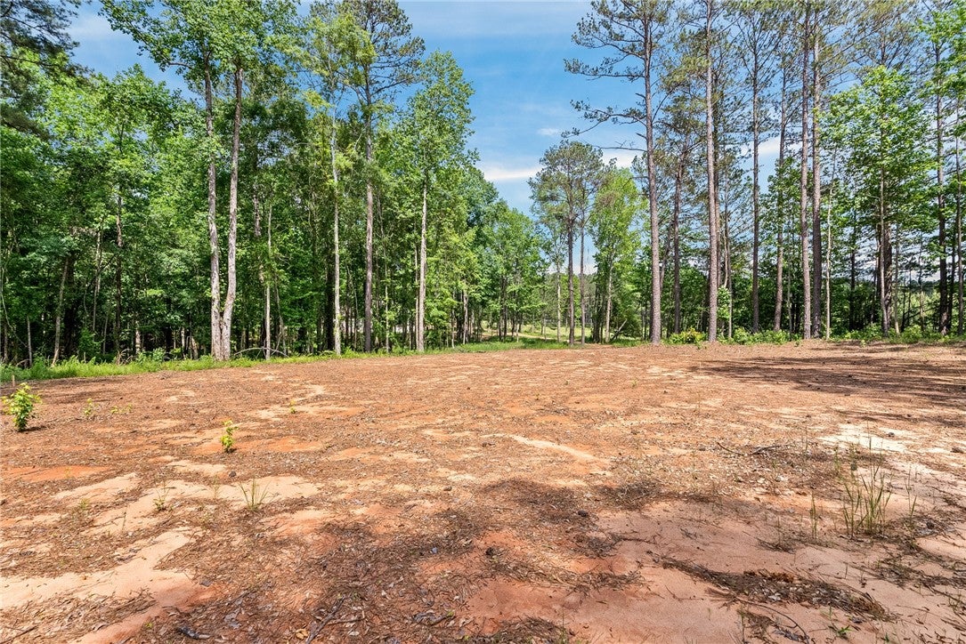 3610 Oak Bowery Road Opelika, AL 36801 - Photo 10 of 12 Gallery Image 10